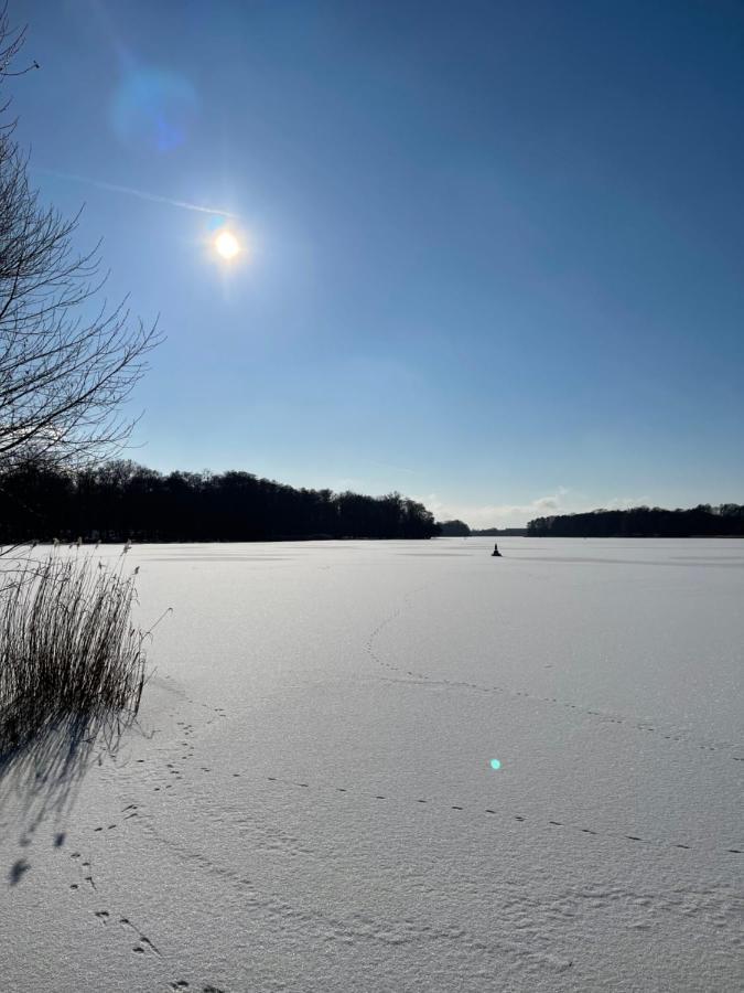 Basalt Lodge Am Lehnitzsee Oranienburg Eksteriør billede